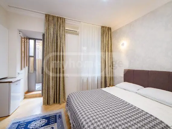1 Room Apartment For Rent In Sololaki view 3