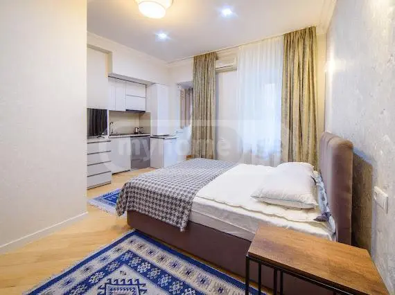 1 Room Apartment For Rent In Sololaki view 1