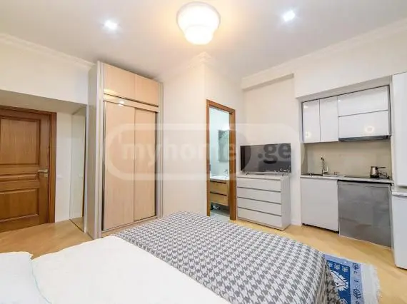 1 Room Apartment Daily Rent In Sololaki view 2