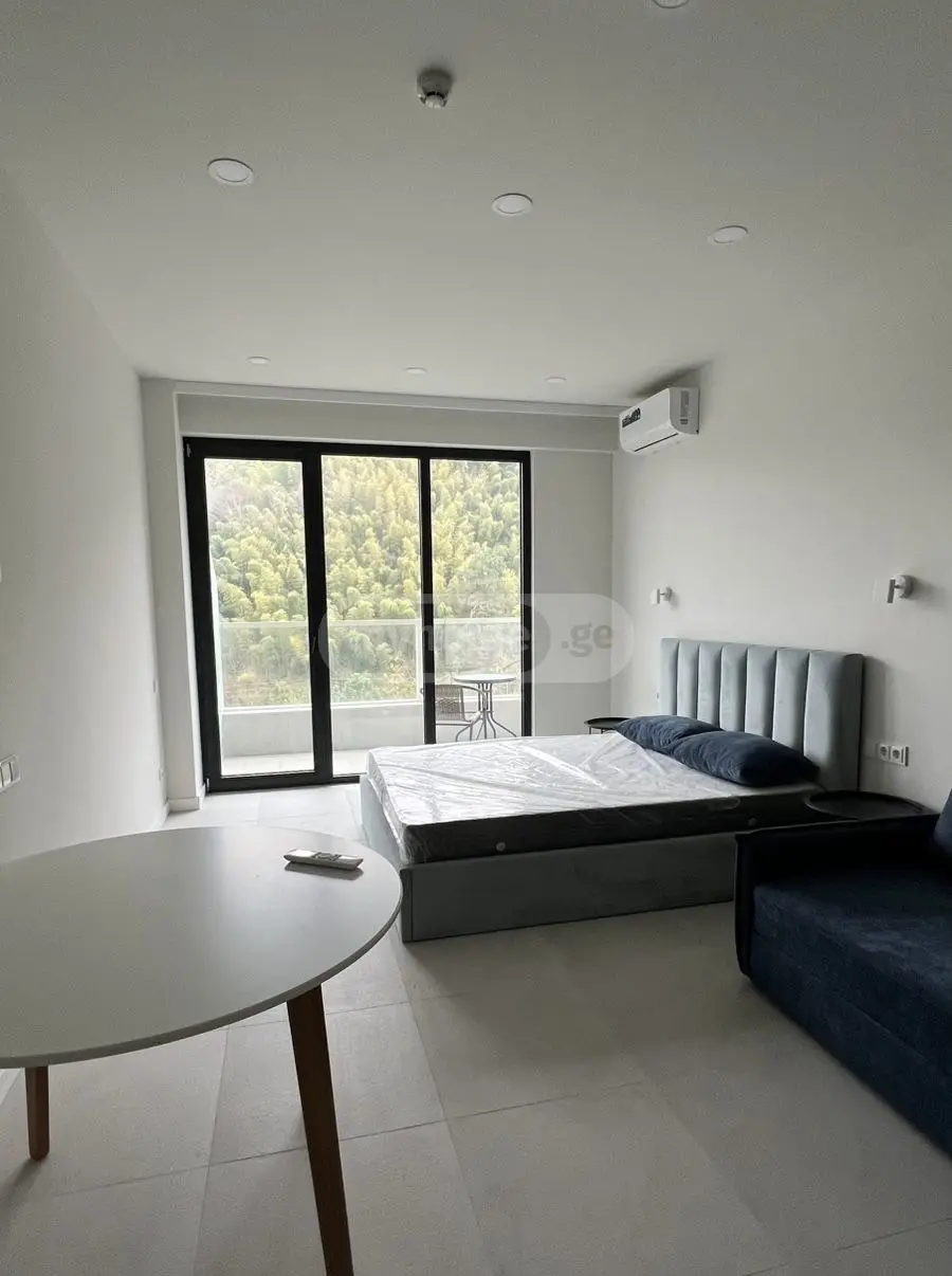 1 Room Apartment For Sale view 1