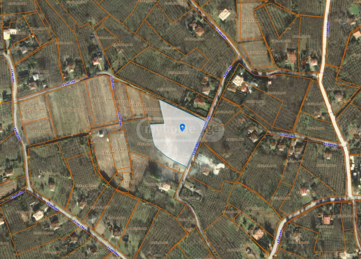 იყიდება Agricultural Plot In Zugdidiში view 5