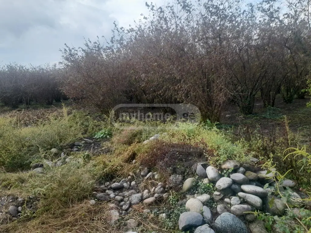 იყიდება Agricultural Plot In Zugdidiში view 2