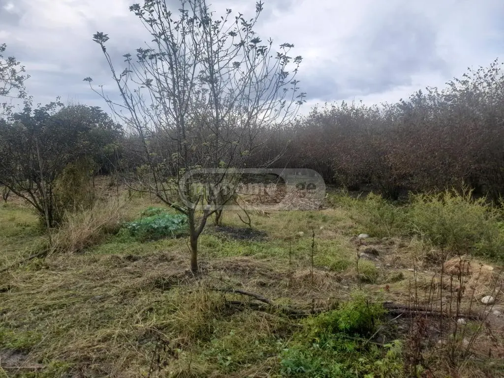 იყიდება Agricultural Plot In Zugdidiში view 4