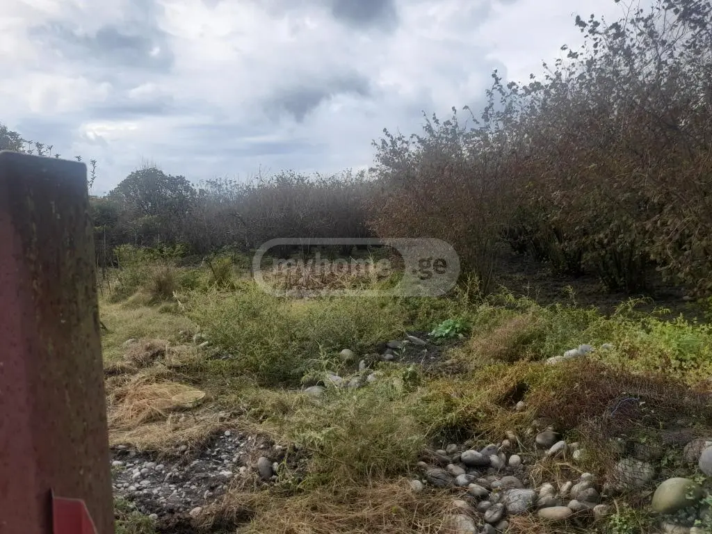 იყიდება Agricultural Plot In Zugdidiში view 3
