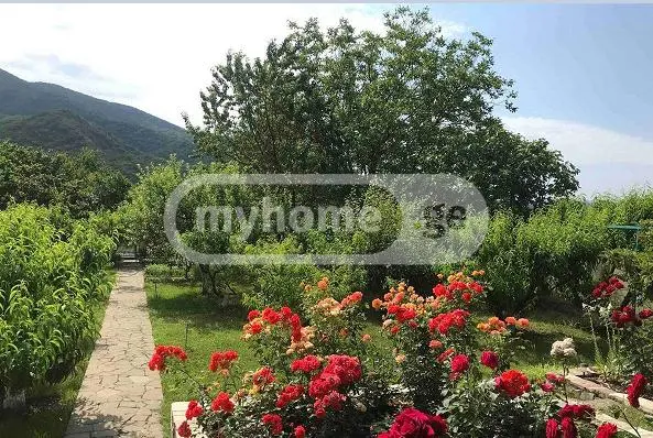 5 Room Private House For Rent In Tsitelsopeli, In Dusheti Municipality view 5