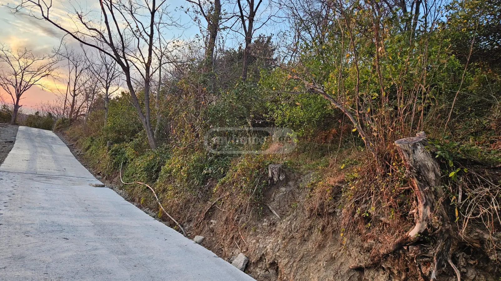 იყიდება Agricultural Plot ბაგრატიონის უბანი, In Batumiში view 3