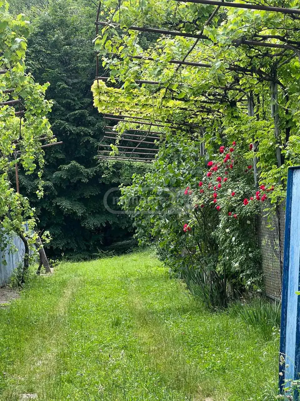 5 Room Country House For Sale view 7