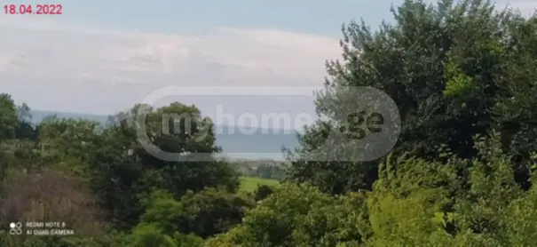 Agricultural Plot For Sale In Tsikhisdziri, In Kobuleti Municipality view 3