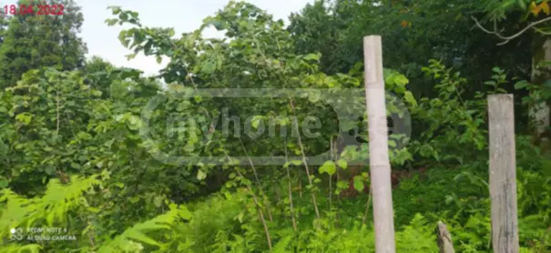 Agricultural Plot For Sale In Tsikhisdziri, In Kobuleti Municipality view 7