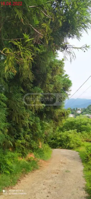 Agricultural Plot For Sale In Tsikhisdziri, In Kobuleti Municipality view 5