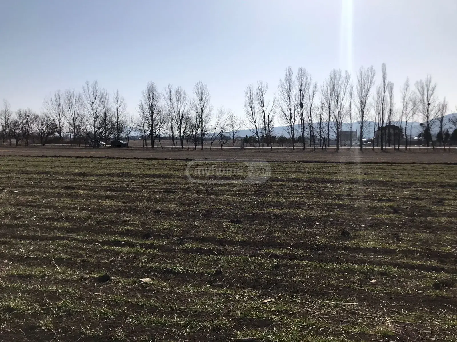 Agricultural Plot For Sale In Lazviani, In Dusheti Municipality view 1