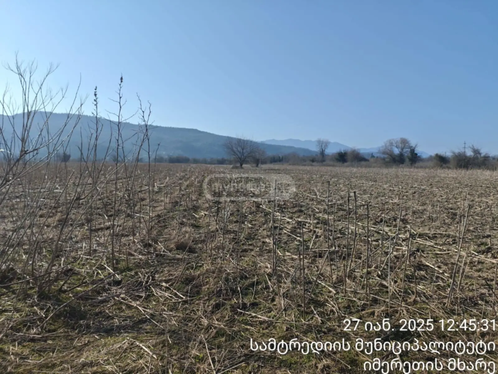 იყიდება Agricultural Plot In Samtrediaში view 3