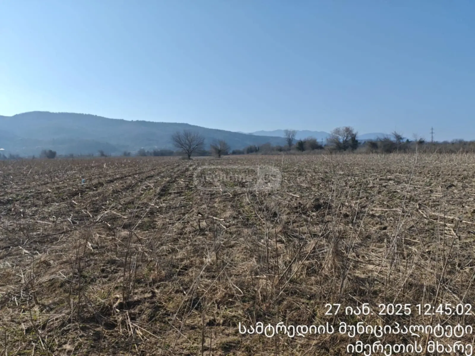 Agricultural Plot For Sale In Samtredia view 1