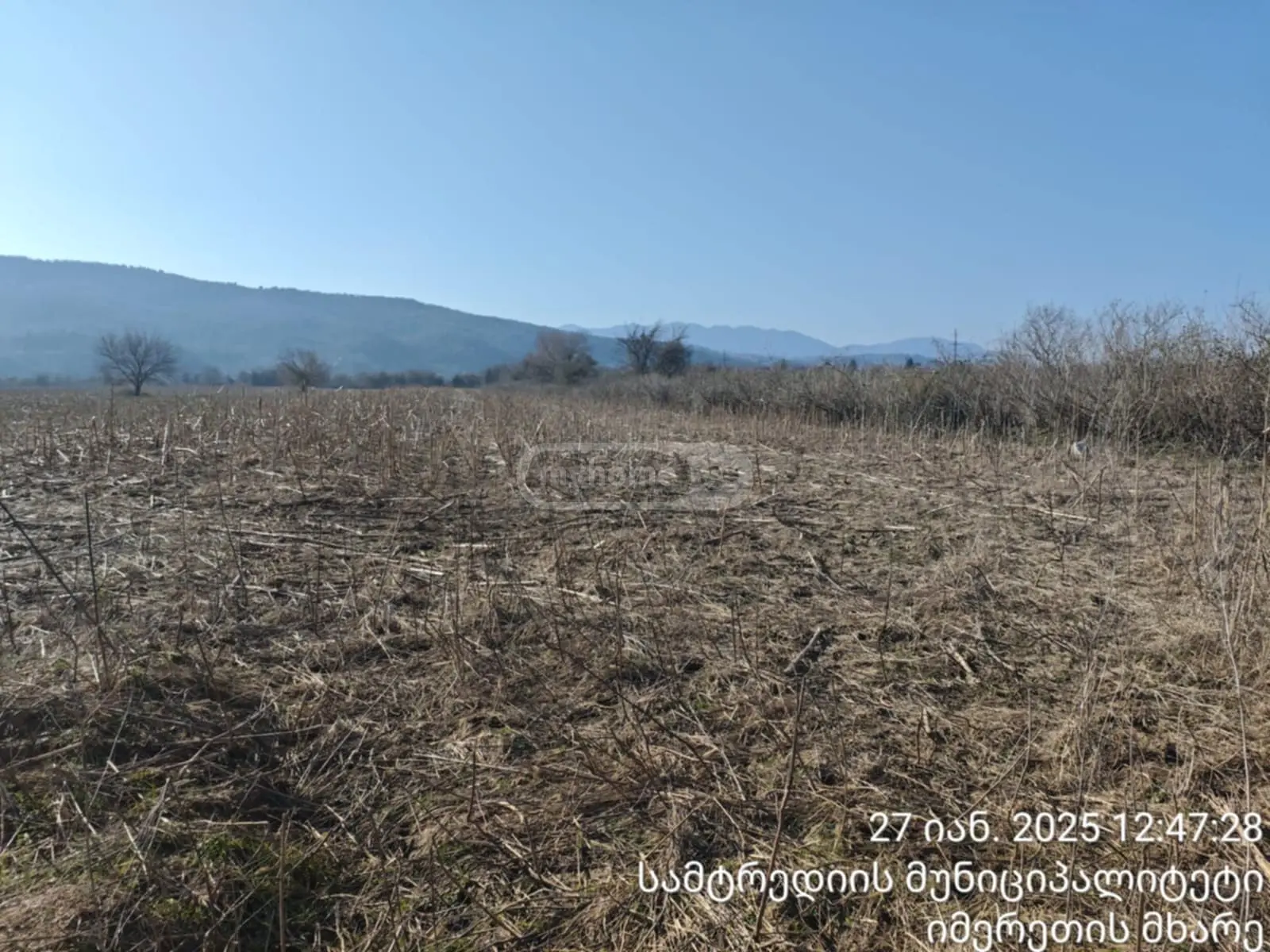 Agricultural Plot For Sale In Samtredia view 4
