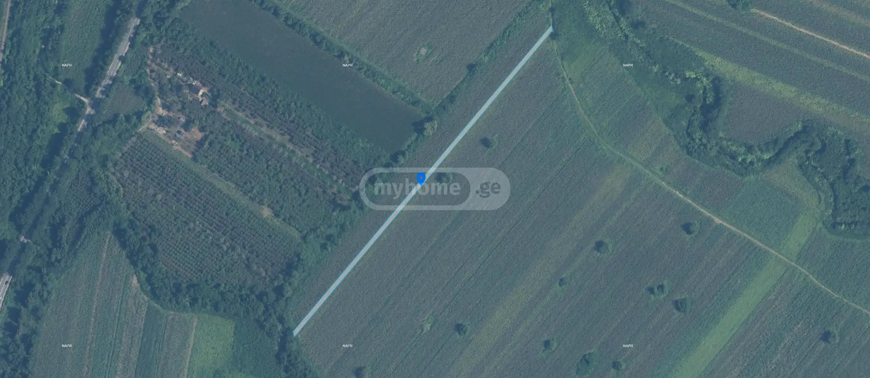 იყიდება Agricultural Plot In Samtrediaში view 4