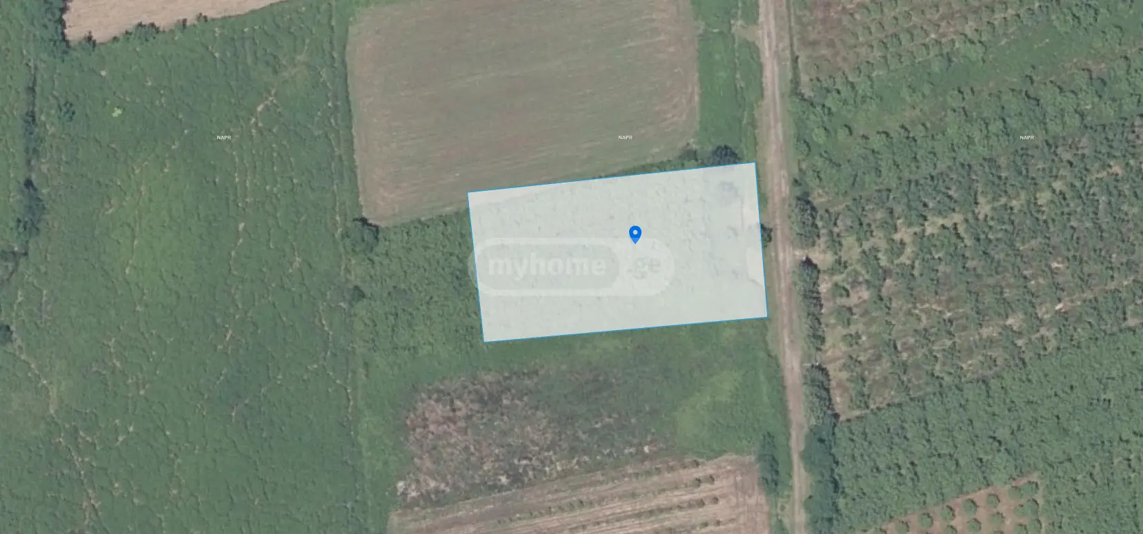 Agricultural Plot For Sale In Zugdidi view 6