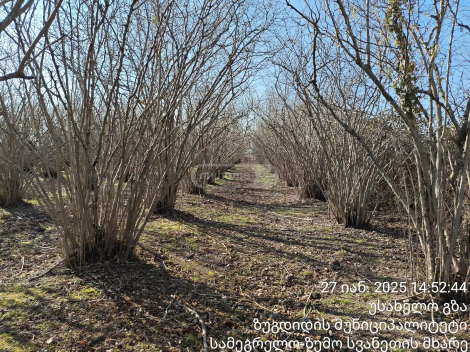 Agricultural Plot For Sale In Zugdidi view 5