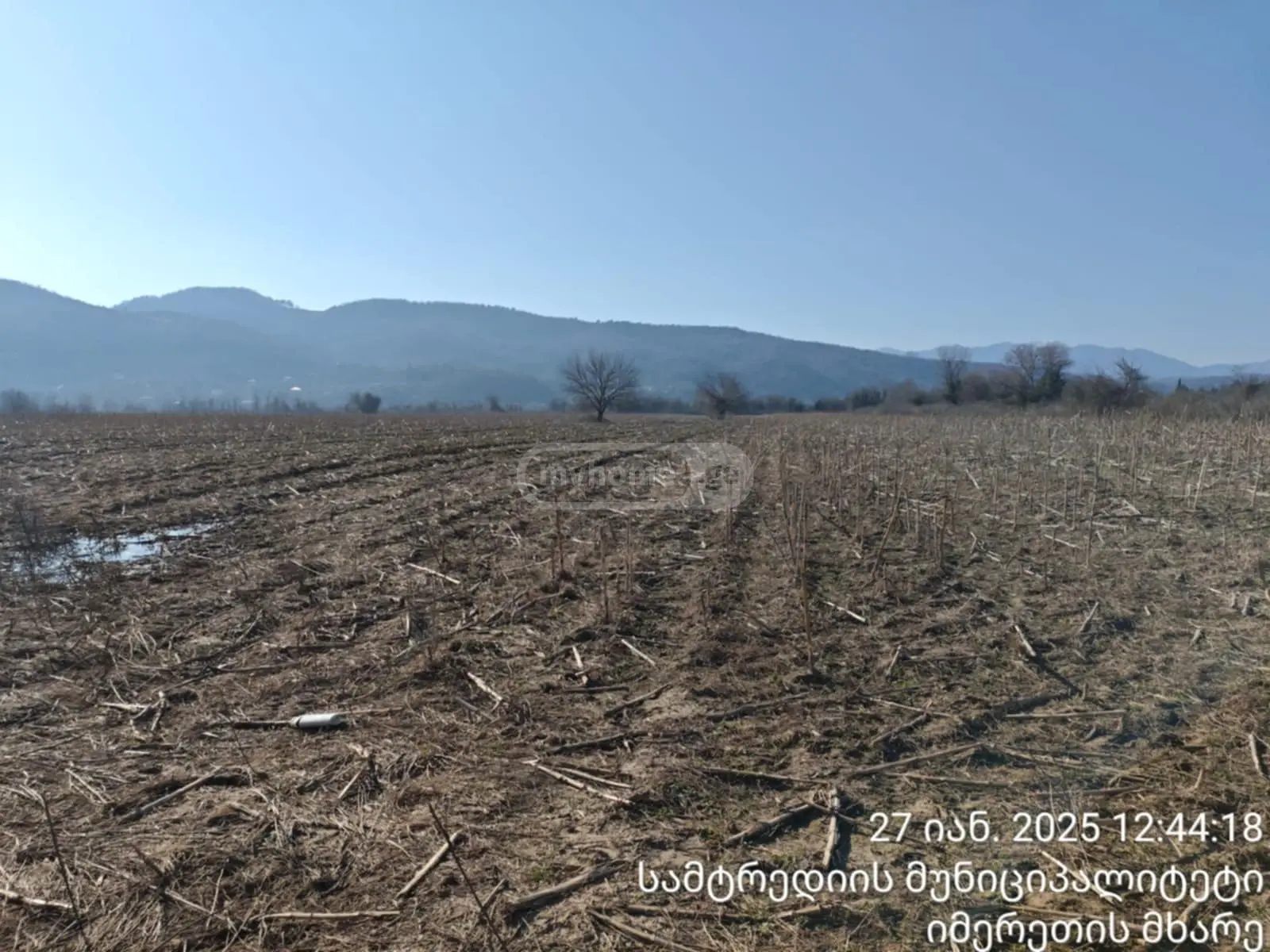 იყიდება Agricultural Plot In Samtrediaში view 4