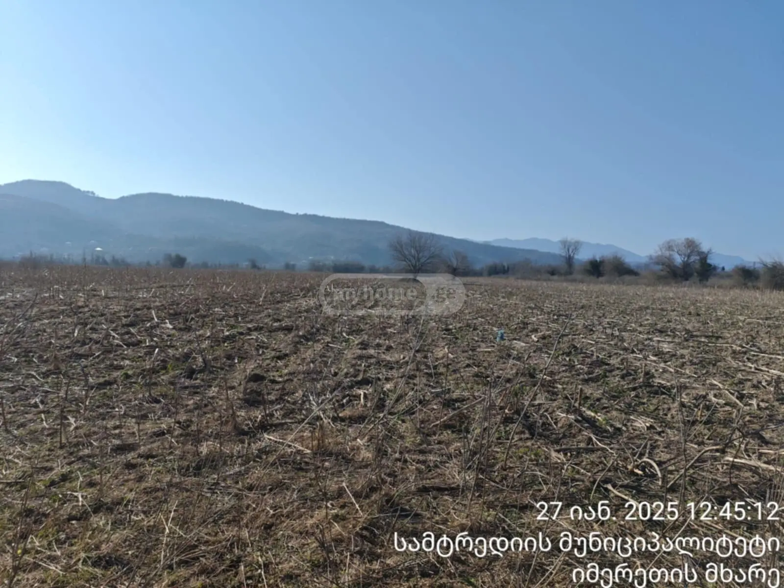 იყიდება Agricultural Plot In Samtrediaში view 2