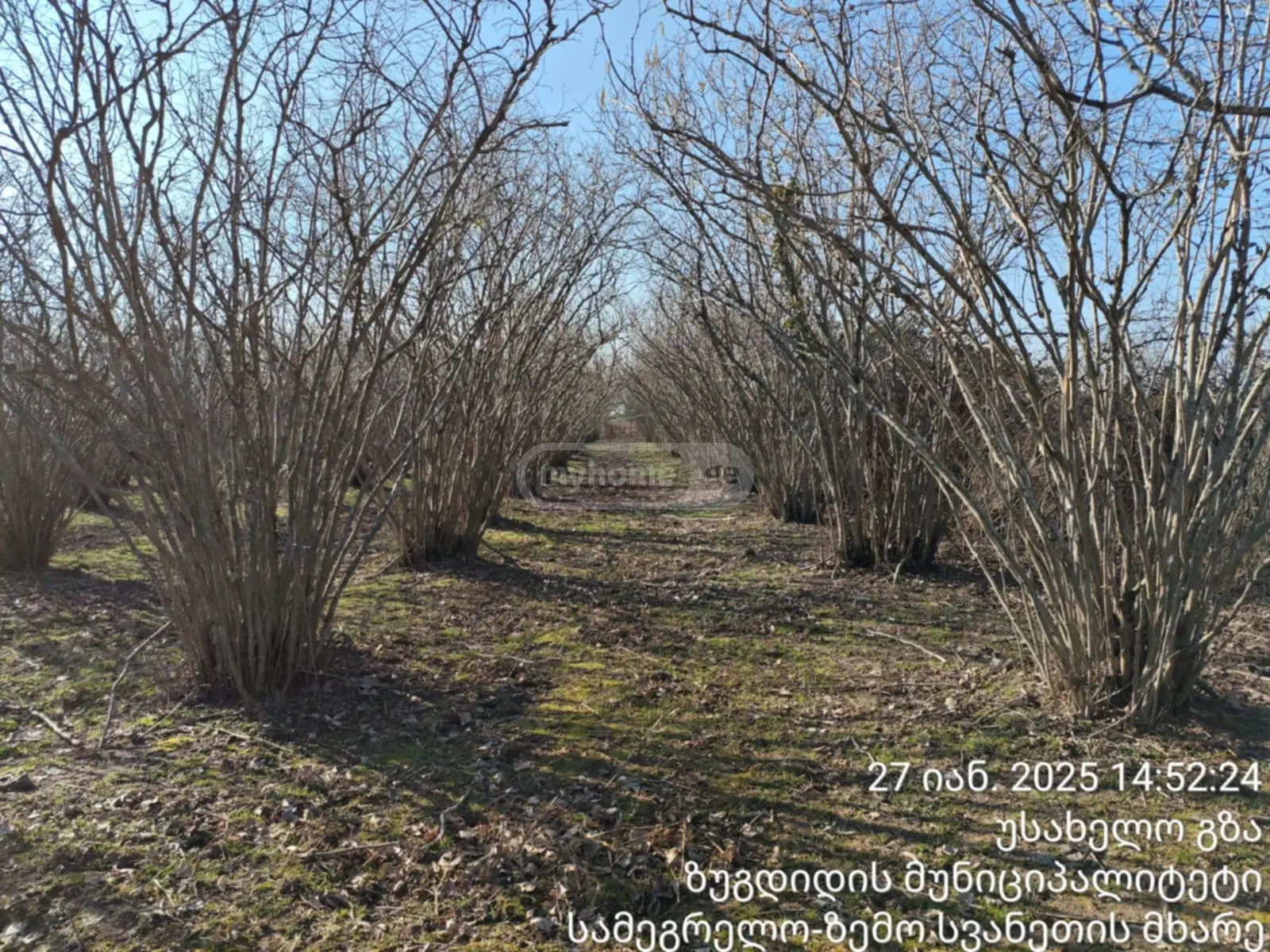 Agricultural Plot For Sale In Zugdidi view 1