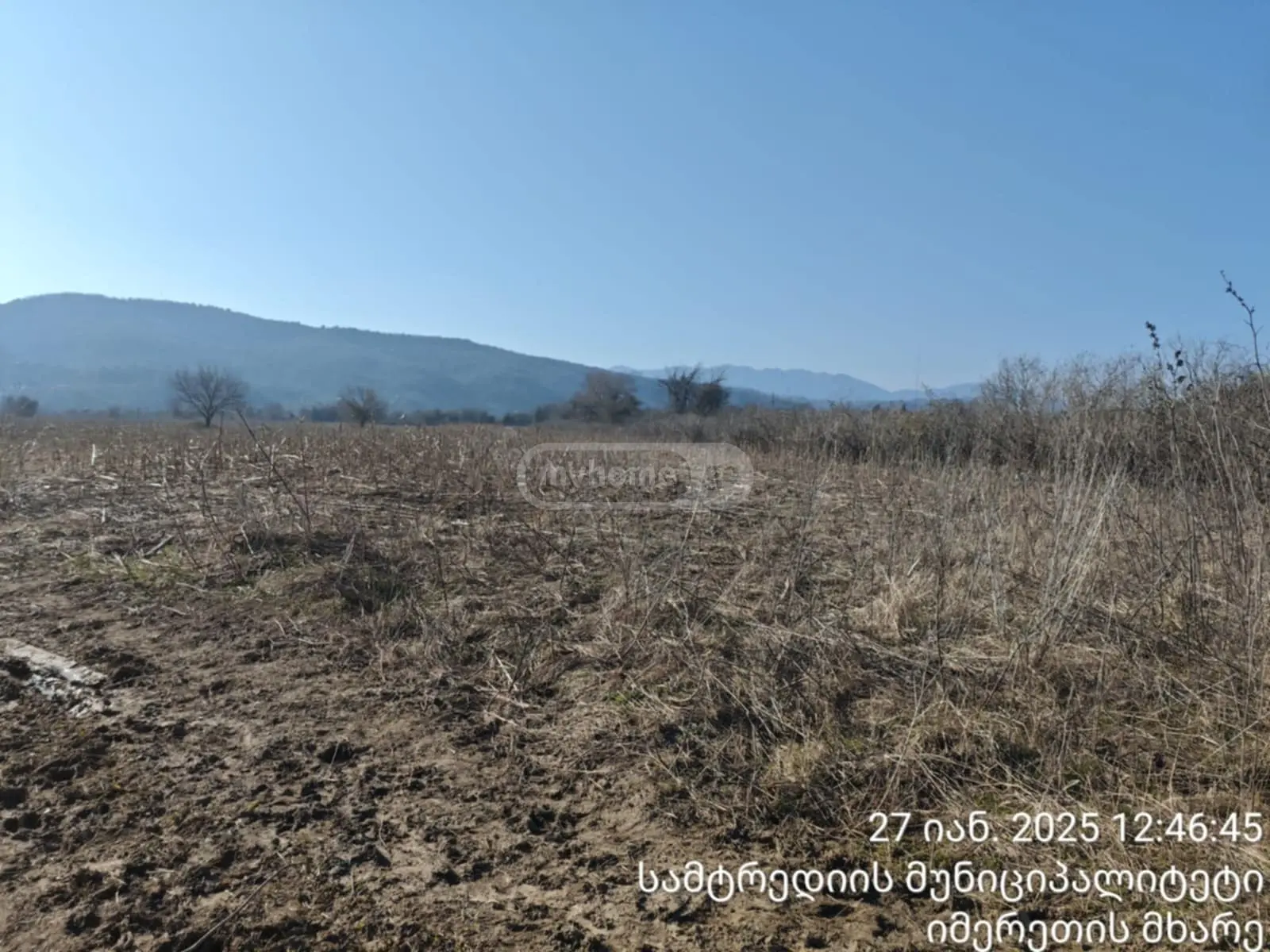 Agricultural Plot For Sale In Samtredia view 3