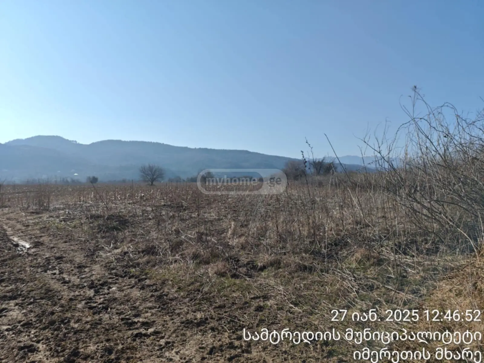იყიდება Agricultural Plot In Samtrediaში view 3