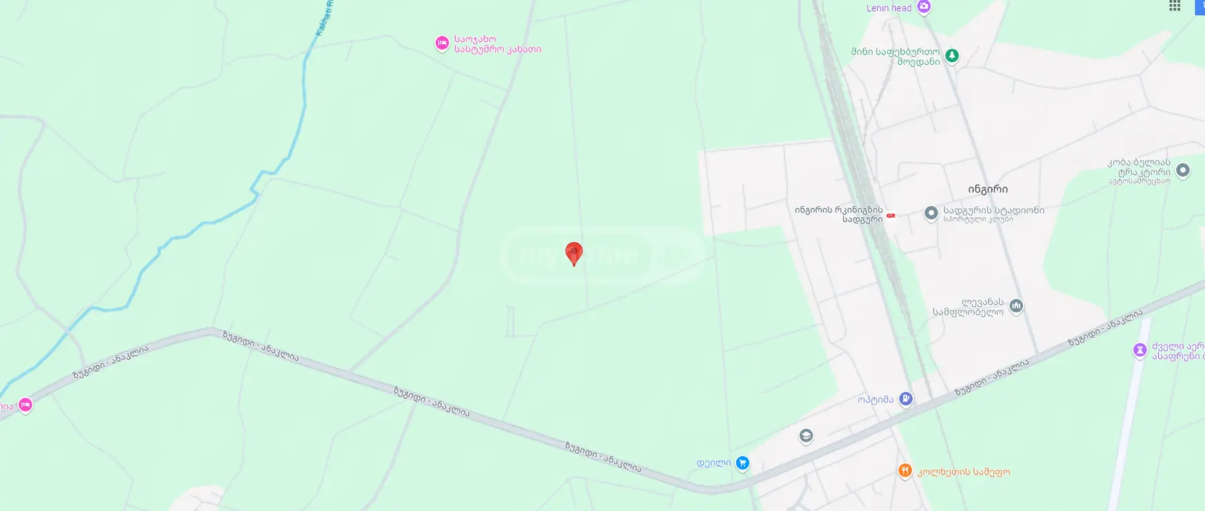 Agricultural Plot For Sale In Zugdidi view 7
