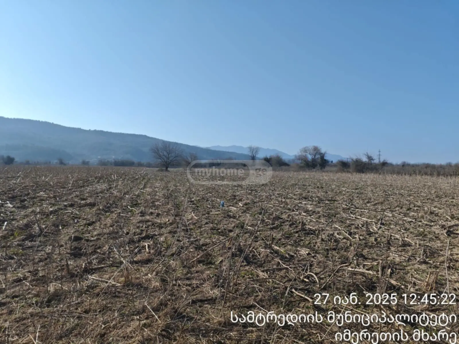 იყიდება Agricultural Plot In Samtrediaში view 1