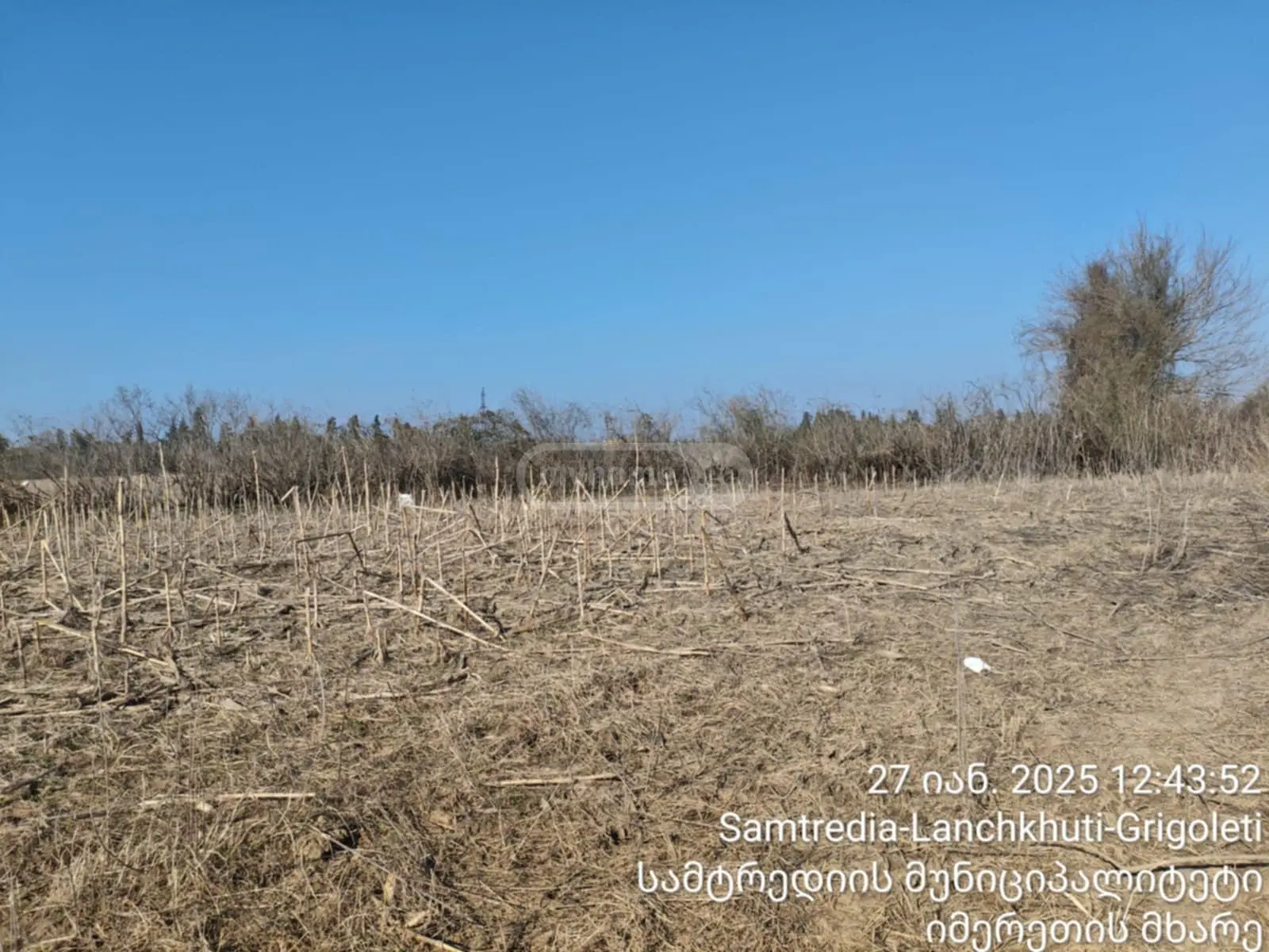 Agricultural Plot For Sale In Samtredia view 2