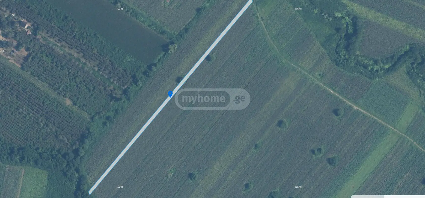 იყიდება Agricultural Plot In Samtrediaში view 6