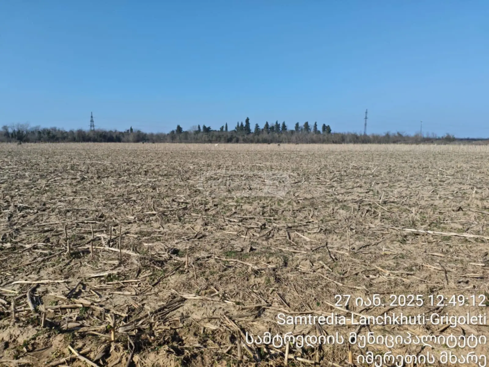იყიდება Agricultural Plot In Samtrediaში view 1