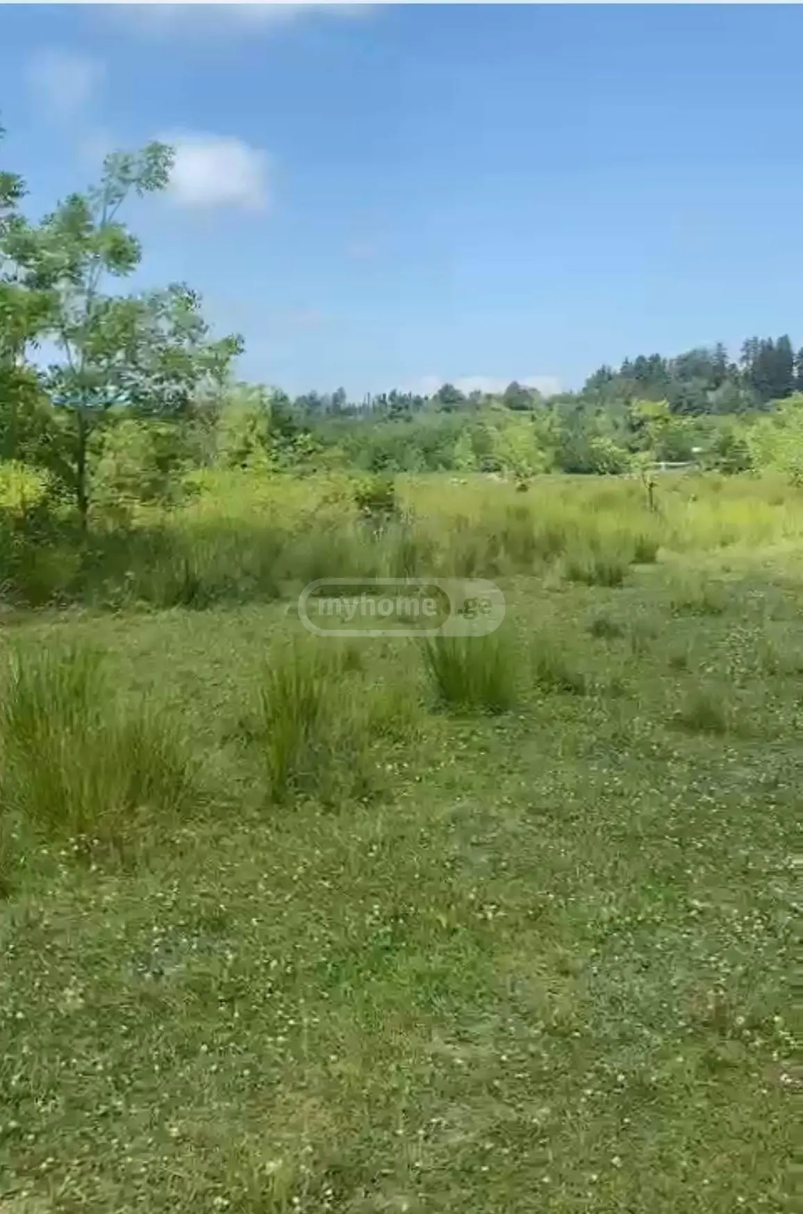 Non-Agricultural Plot For Sale In Ureki, In Ozurgeti Municipality view 3