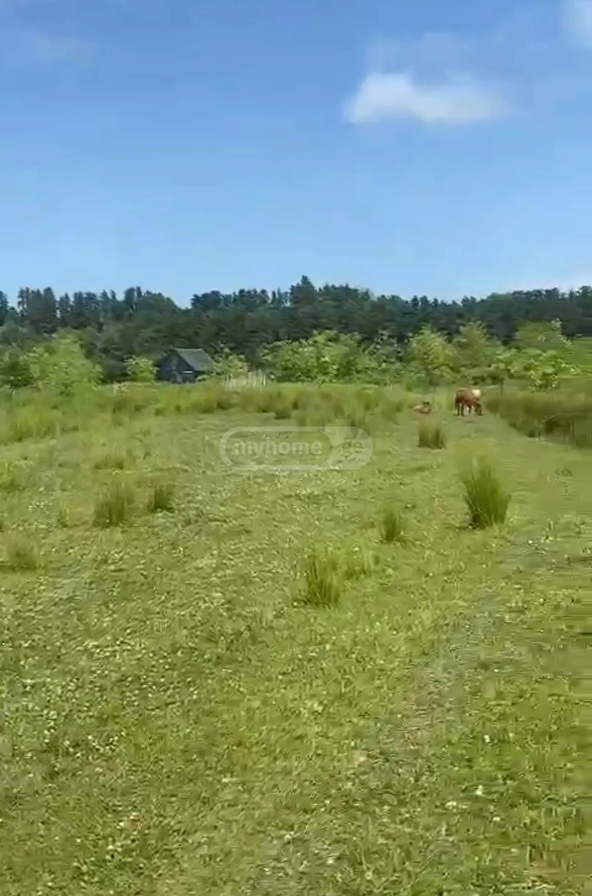 Non-Agricultural Plot For Sale In Ureki, In Ozurgeti Municipality view 6
