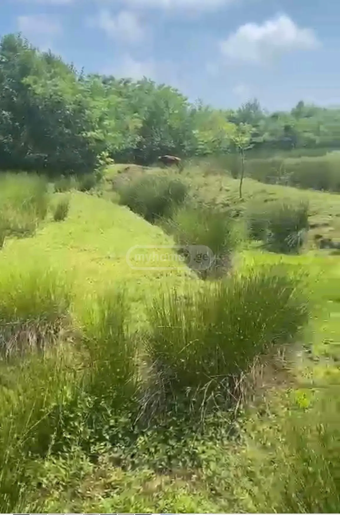 Non-Agricultural Plot For Sale In Ureki, In Ozurgeti Municipality view 5