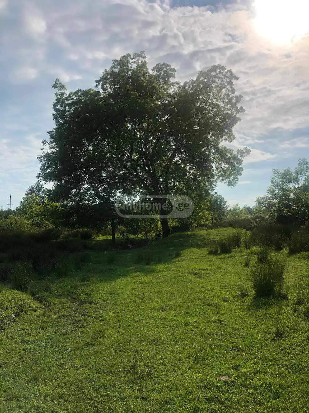 Non-Agricultural Plot For Sale In Ureki, In Ozurgeti Municipality view 4