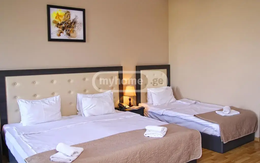 10+ Room Hotel For Sale In Didube view 3