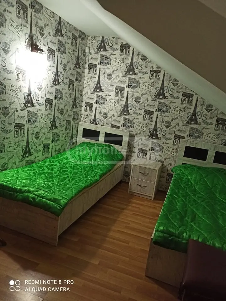 5 Room Private House Daily Rent Near Bazalet Lake, In Dusheti Municipality view 3