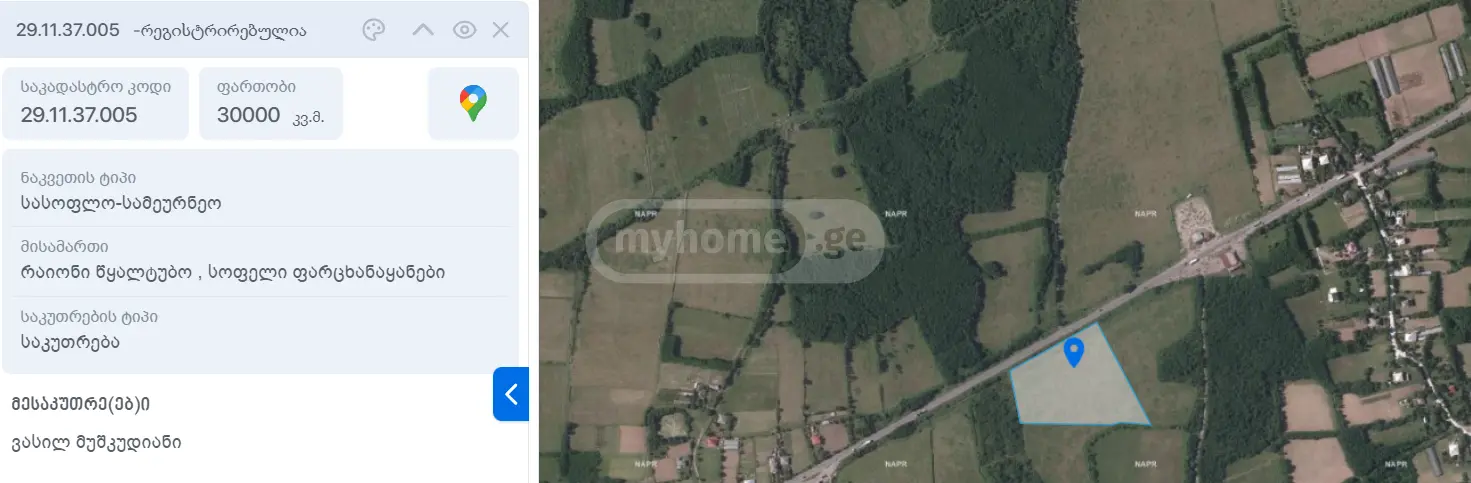 Agricultural Plot For Sale In Partskhanakanevi, In Tskaltubo Municipality view 3