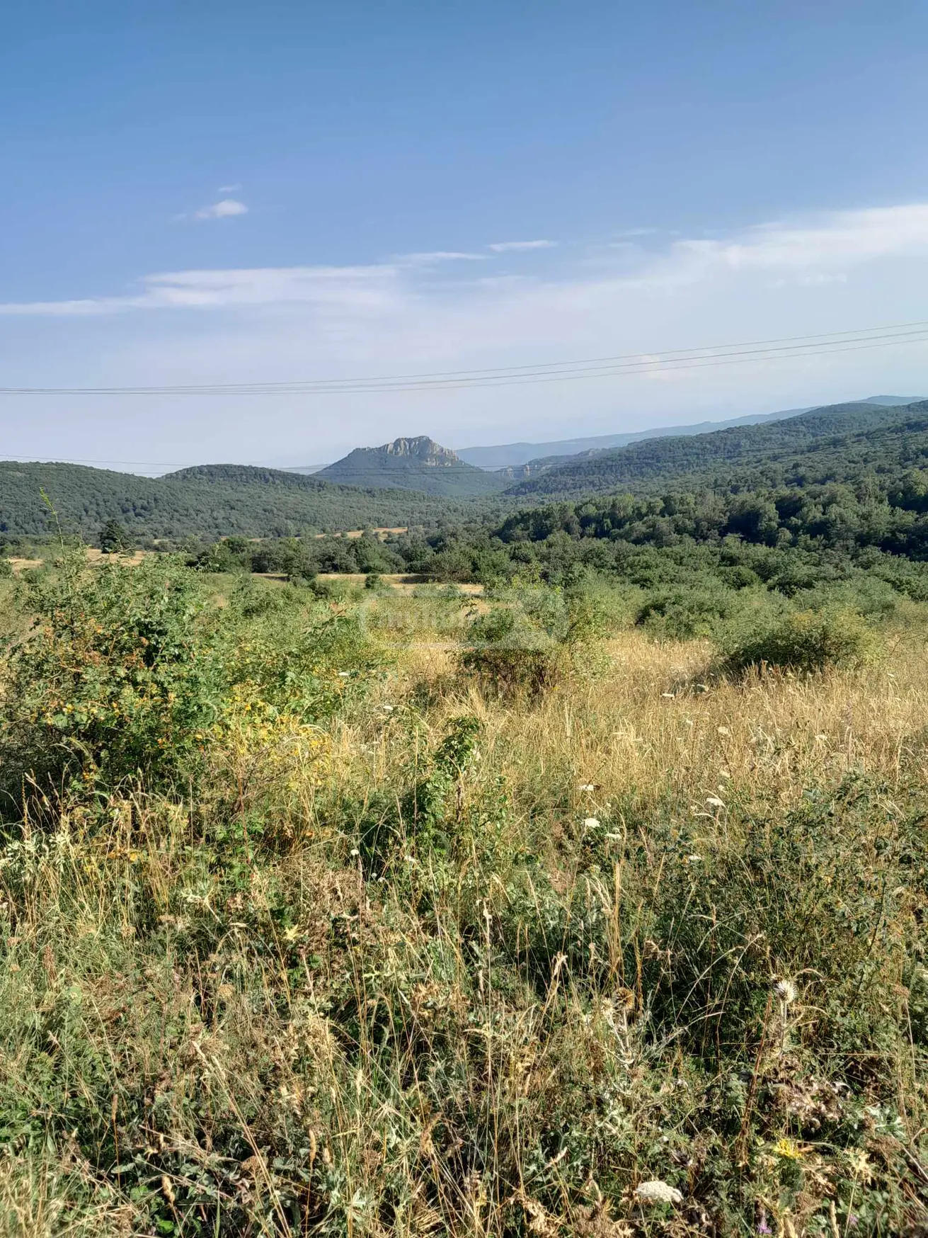 იყიდება Agricultural Plot In Tetritskaroში view 2