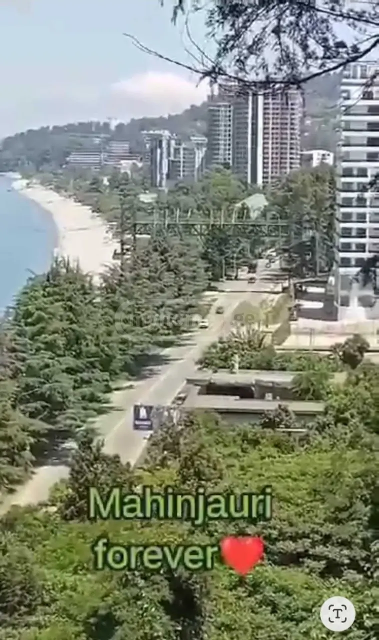 Agricultural Plot For Sale In Makhinjauri, In Batumi view 1