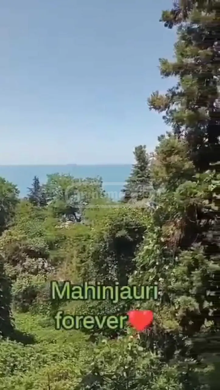 Agricultural Plot For Sale In Makhinjauri, In Batumi view 2