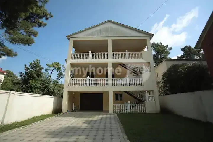 10+ Room Private House For Sale In Grigoleti, In Lanchkhuti Municipality view 1