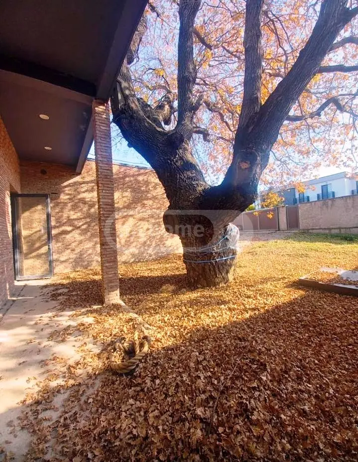 5 Room Country House For Sale view 3