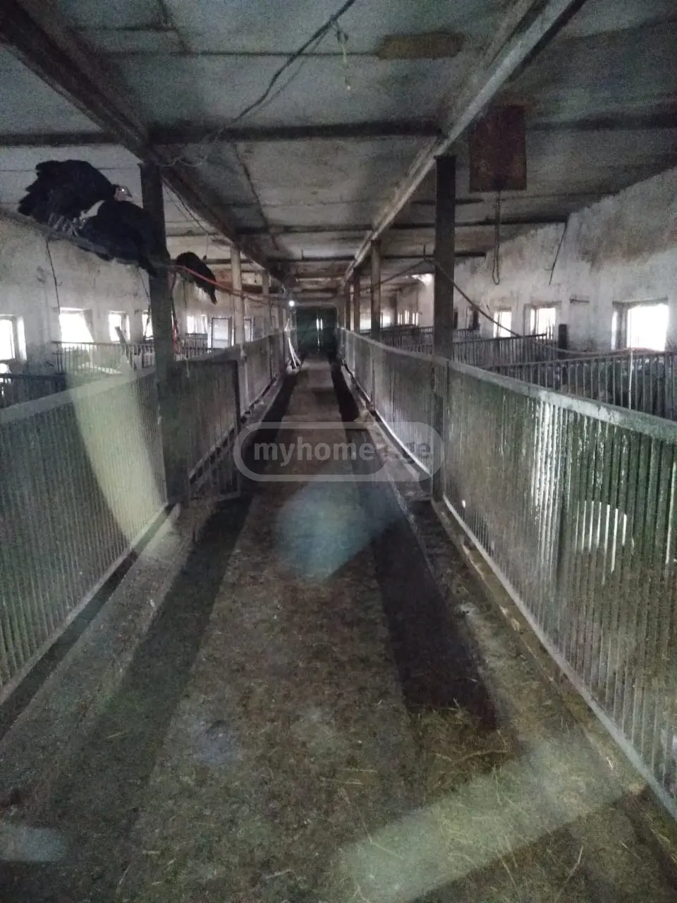 იყიდება Manufacturing Commercial Area In Gardabaniში view 4