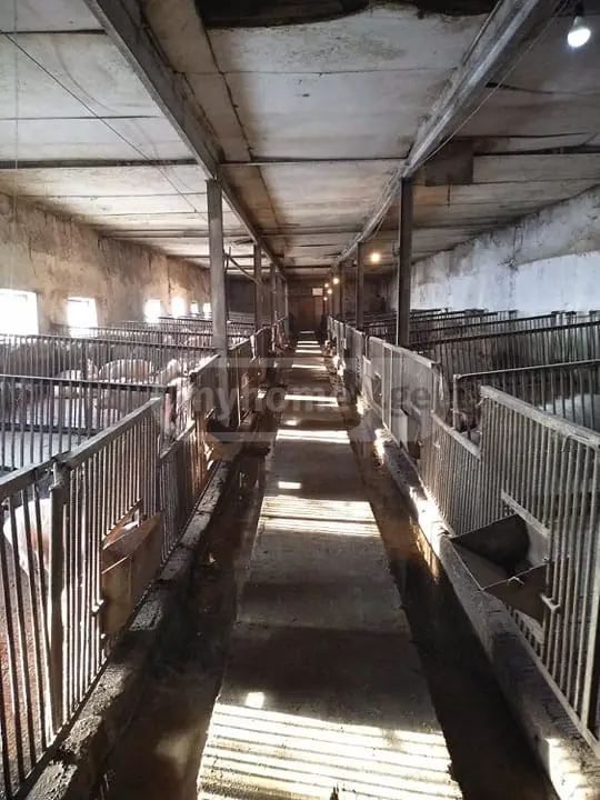 იყიდება Manufacturing Commercial Area In Gardabaniში view 2