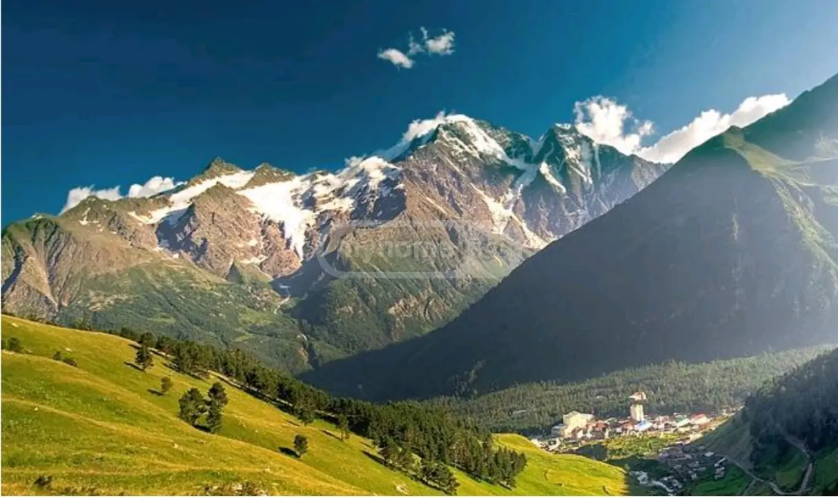 Universal Commercial Area For Sale In Likani, In Borjomi Municipality view 3