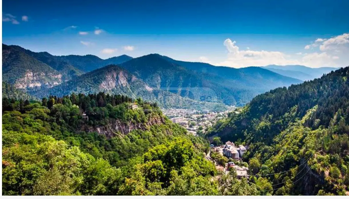 Universal Commercial Area For Sale In Likani, In Borjomi Municipality view 5