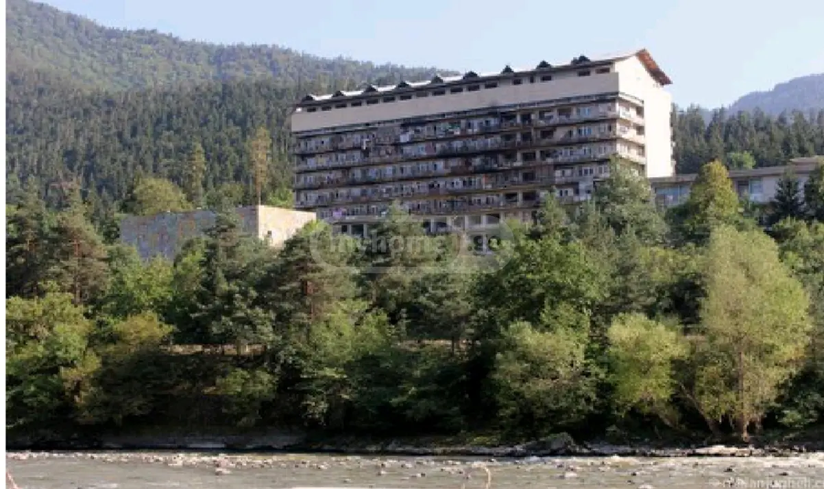 Universal Commercial Area For Sale In Likani, In Borjomi Municipality view 4