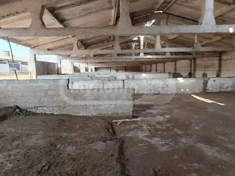 Warehousing Commercial Area For Rent In Samgori view 3