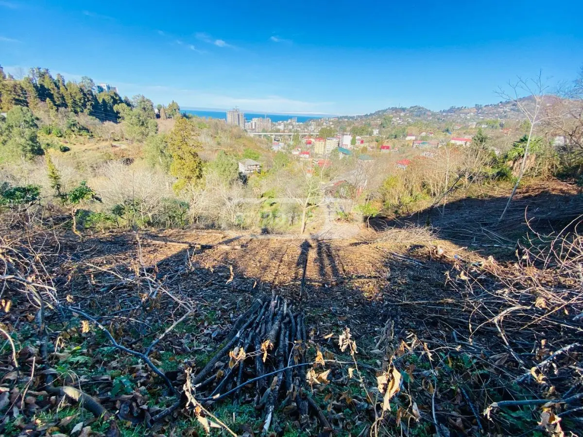 Agricultural Plot For Sale In Makhinjauri, In Batumi view 2